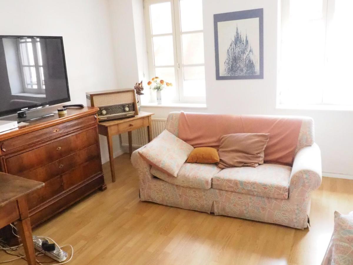 Le Tanneur, Appartement Vintage Hypercentre Strasburg Zewnętrze zdjęcie